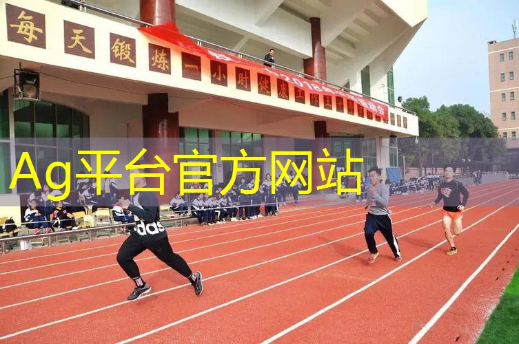 战争进化史3d游戏破解版最新