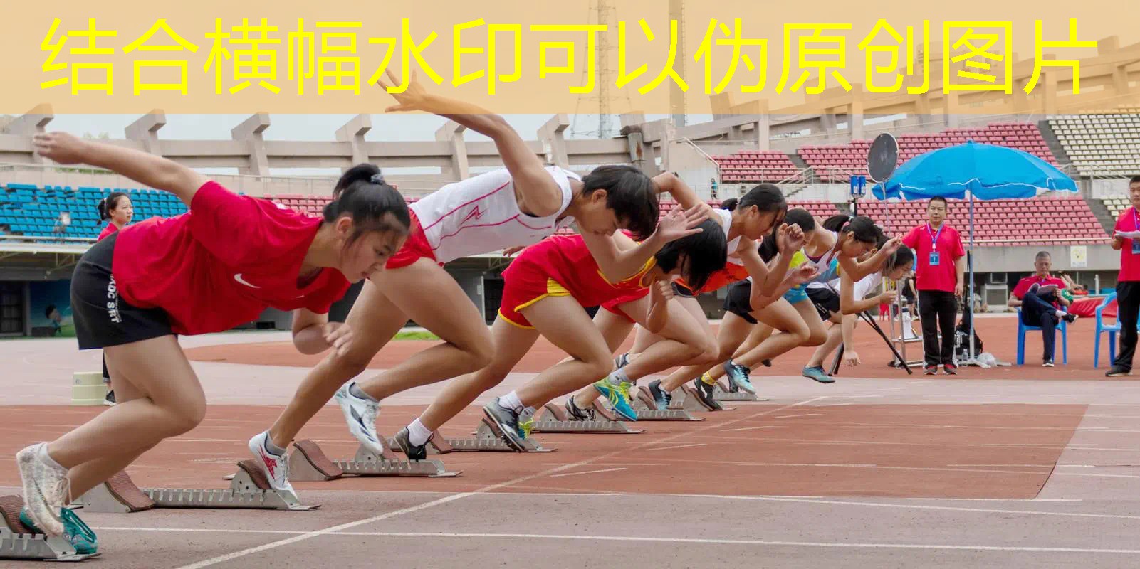 超好玩的3d猫游戏