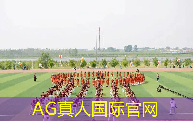 3d动画游戏设计算法分析