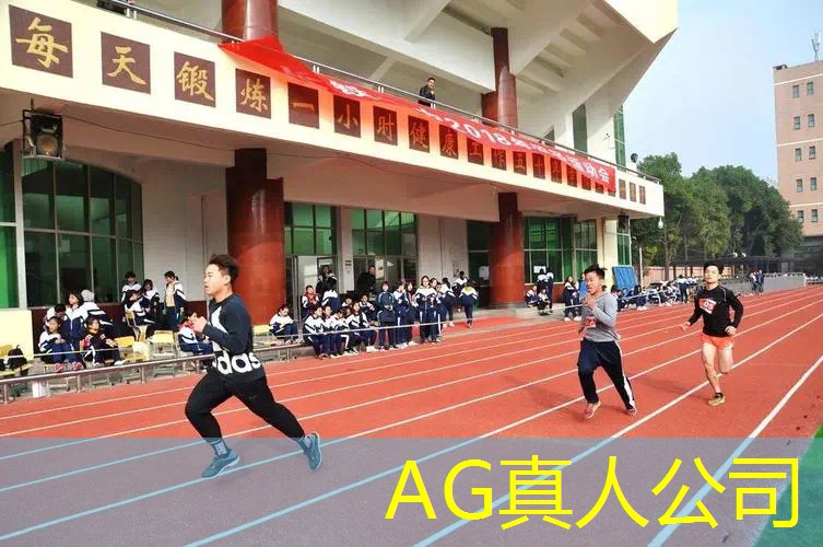 再起游戏小程序叫什么