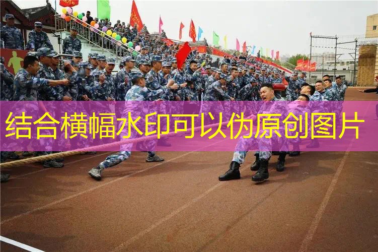 游戏小鸡玩蚂蚁模拟3d