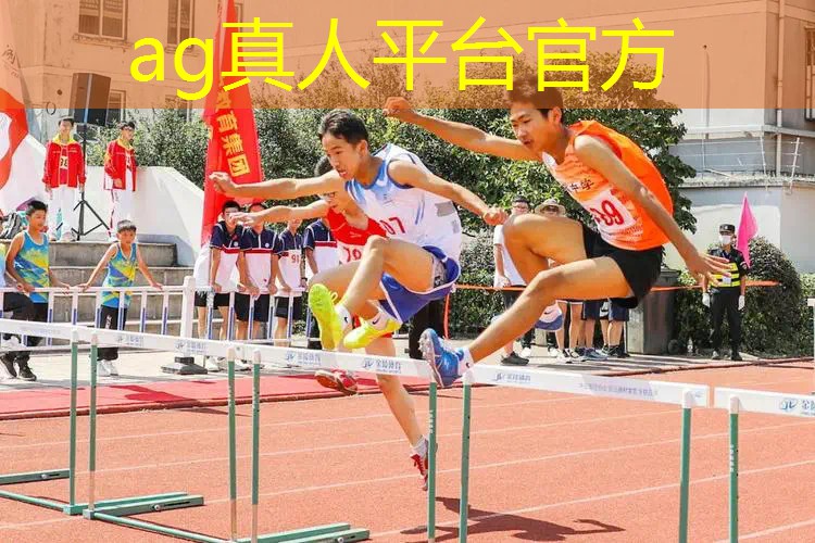 3d饼干人游戏