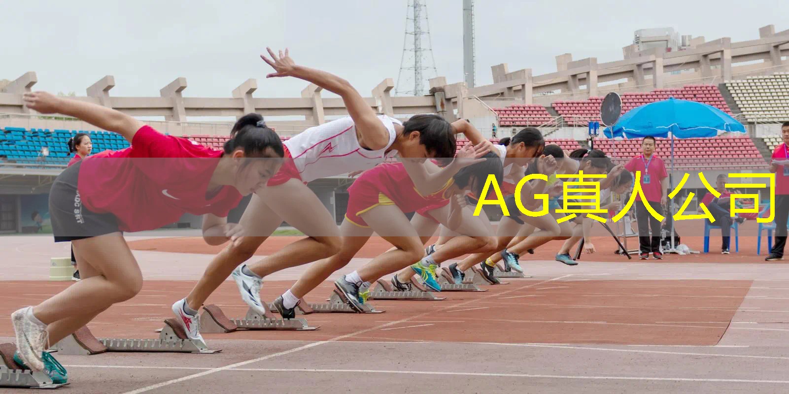 3D碎花风格游戏介绍